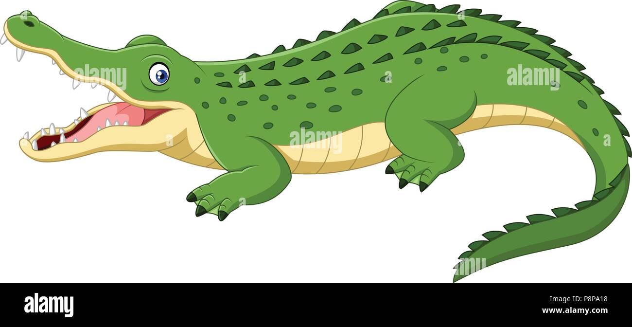 Crocodile dessin animé isolé sur fond blanc Illustration de Vecteur