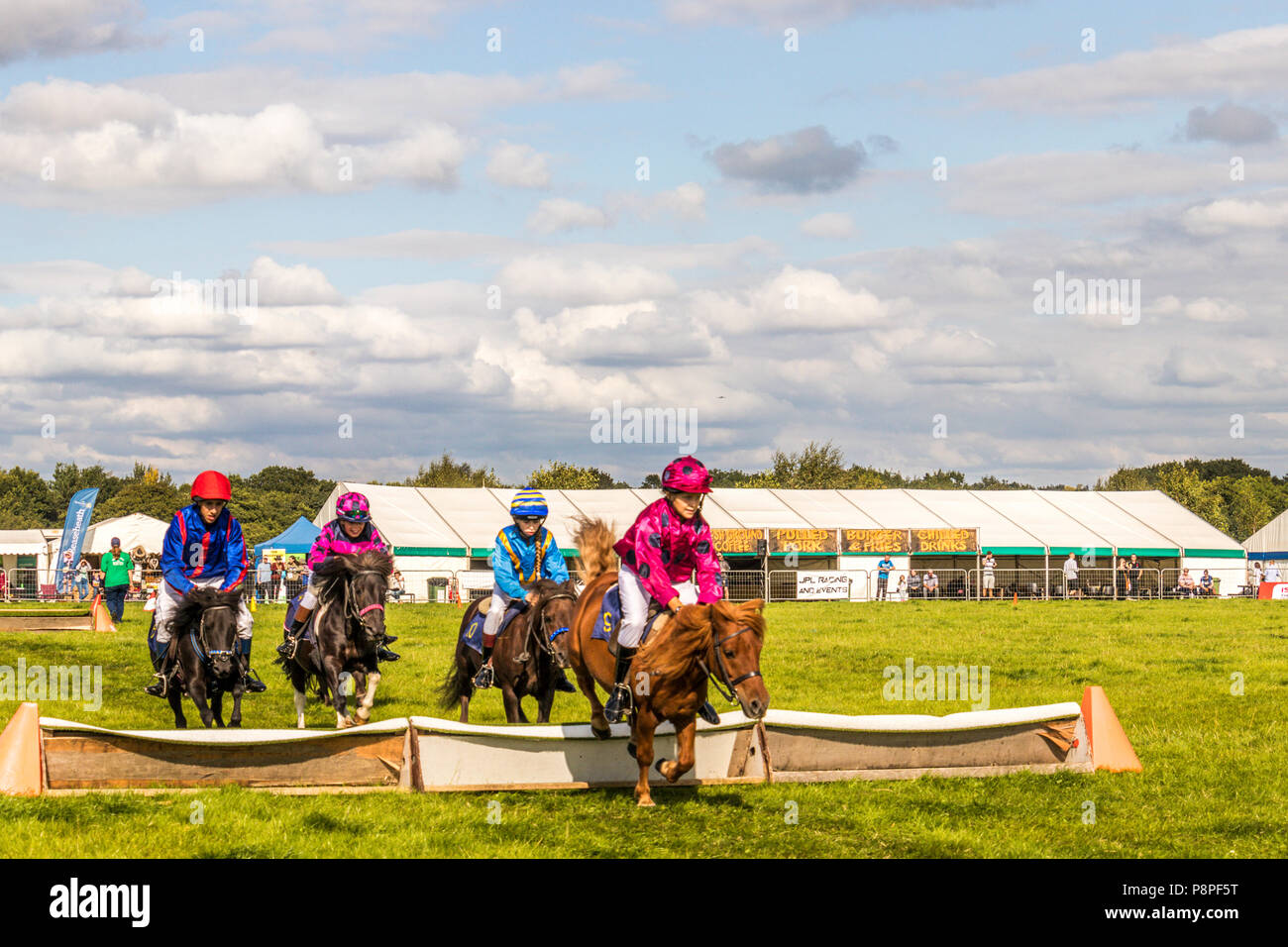 Poney Shetland steeple-chase au pays et game show Cheshire show ground, Tabley Cheshire Royaume Uni Banque D'Images