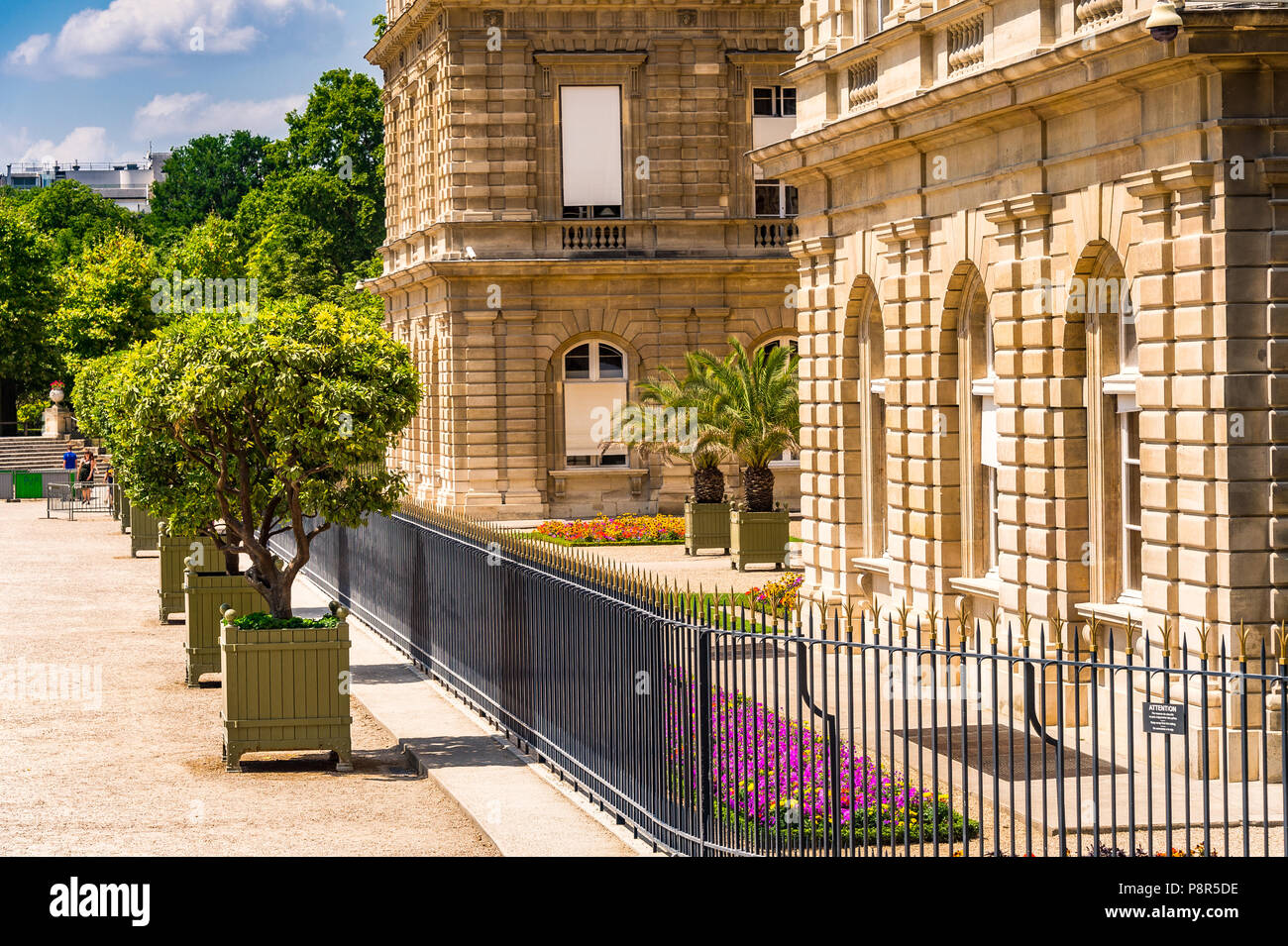 Le Palais du Luxembourg dans le jardin du Luxembourg à Paris, France Banque D'Images