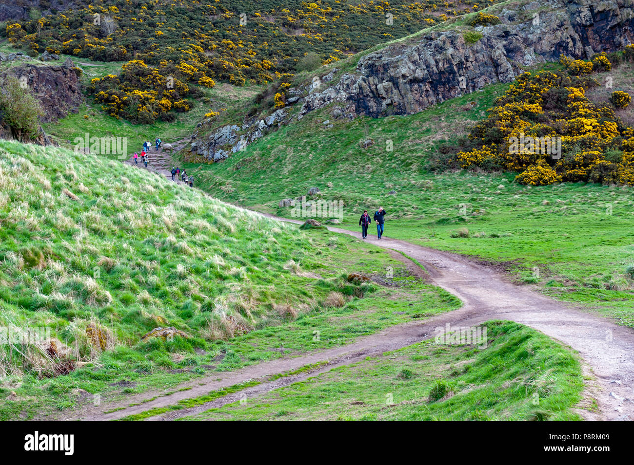 Les pentes des collines sur une randonnée à vélo jusqu'à Arthur's Seat, le point le plus élevé à Édimbourg situé à Holyrood Park, Ecosse, Royaume-Uni Banque D'Images