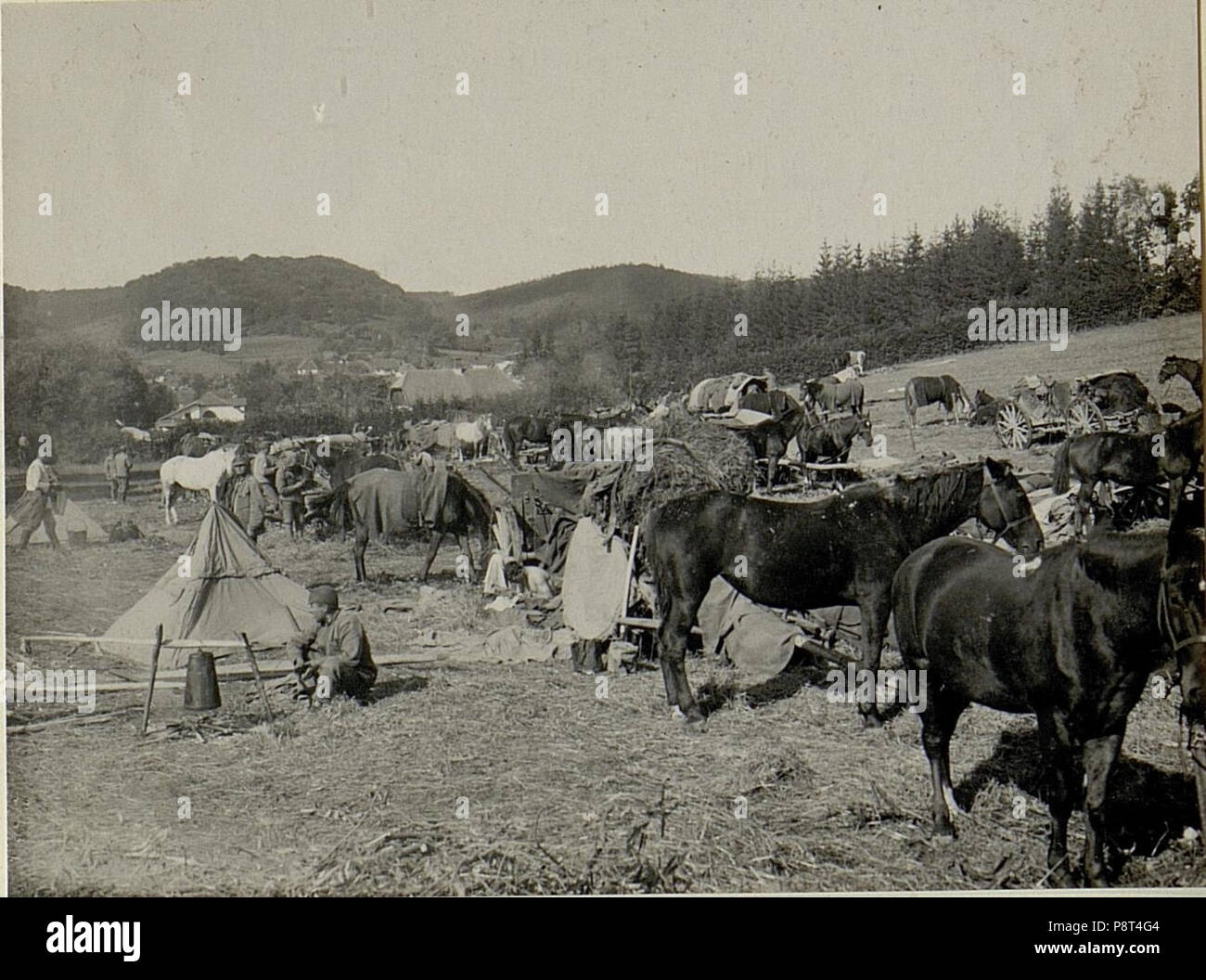 38 Ansichten aus dem BildID türkischen Lager (15527240) Banque D'Images 38 Ansichten aus dem BildID türkischen Lager (15527240) Banque D'Images