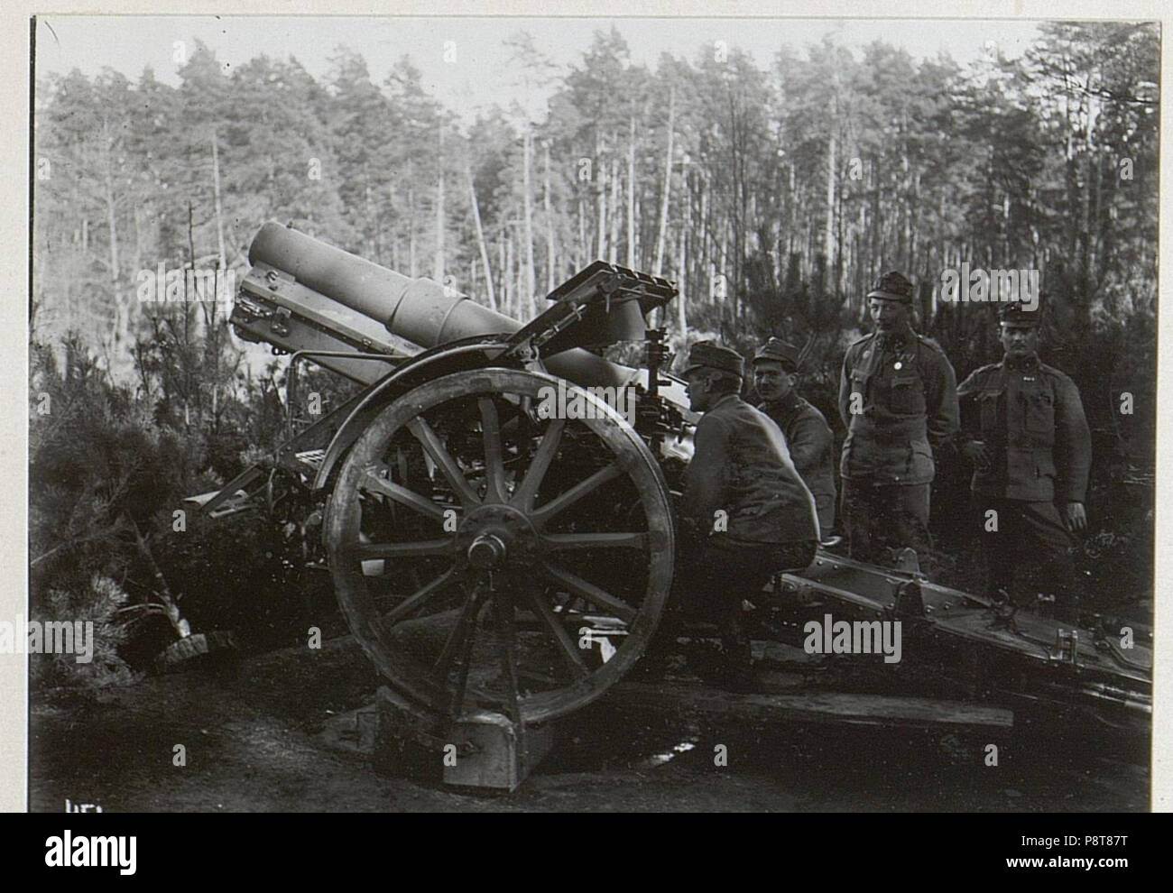 . 9 15cm M.14. Feld-Haubitze BildID (15724009) Banque D'Images