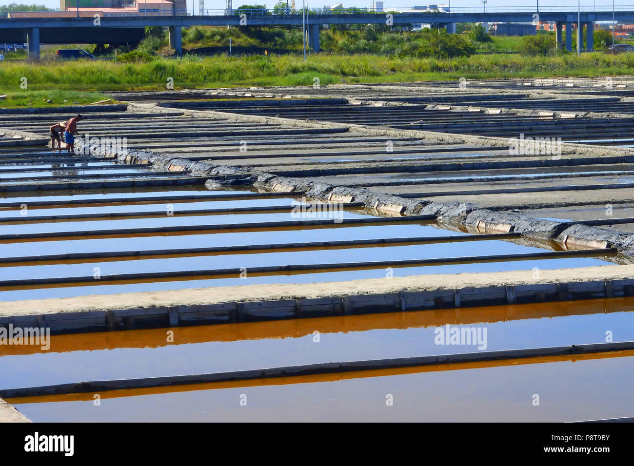 Certains des quelques salines à Aveiro, Portugal Banque D'Images