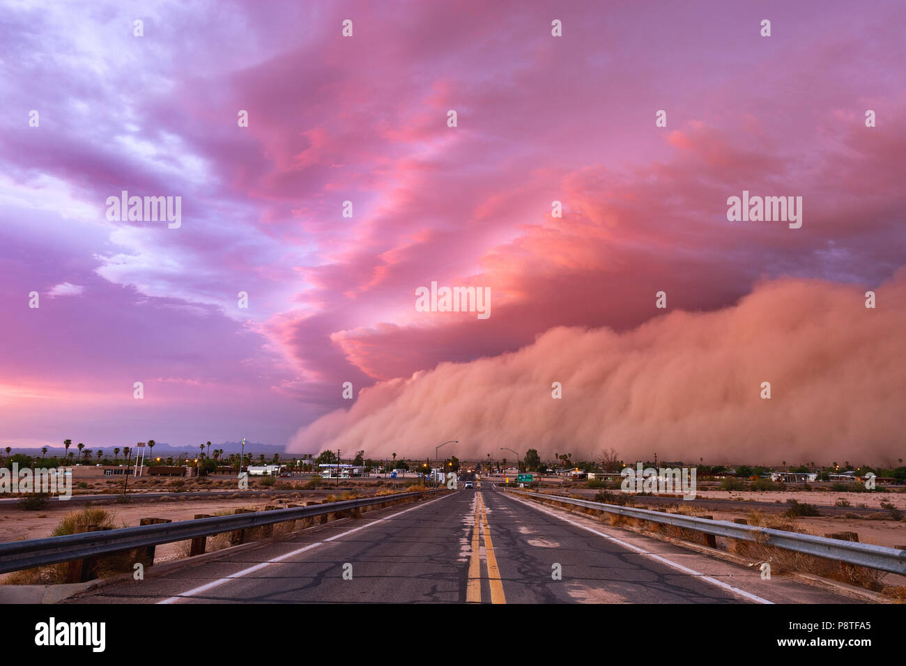 Haboob tempête de poussière et nuage de plateau au coucher du soleil à l'approche de Yuma, Arizona, États-Unis Banque D'Images