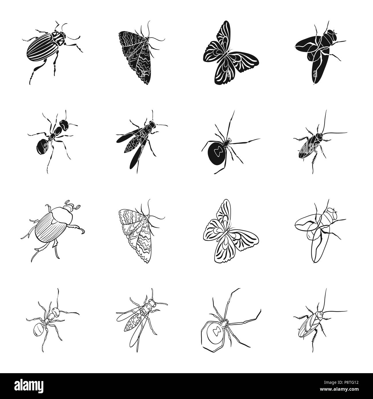 Un insecte, un arthropode osa, une araignée, un cafard. Set d'icônes dans la collection d'insectes,noir style Contour Symbole vecteur illustration isométrique stock . Illustration de Vecteur