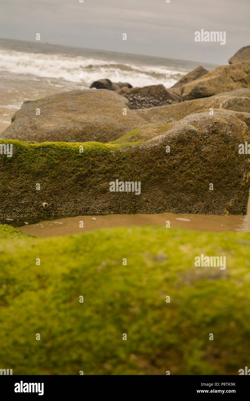 De grands rochers sur la plage d'algues ou de la Mousse poussant sur eux menant à l'océan qui est en arrière-plan avec une vague se brisant sur un sombre jour Banque D'Images