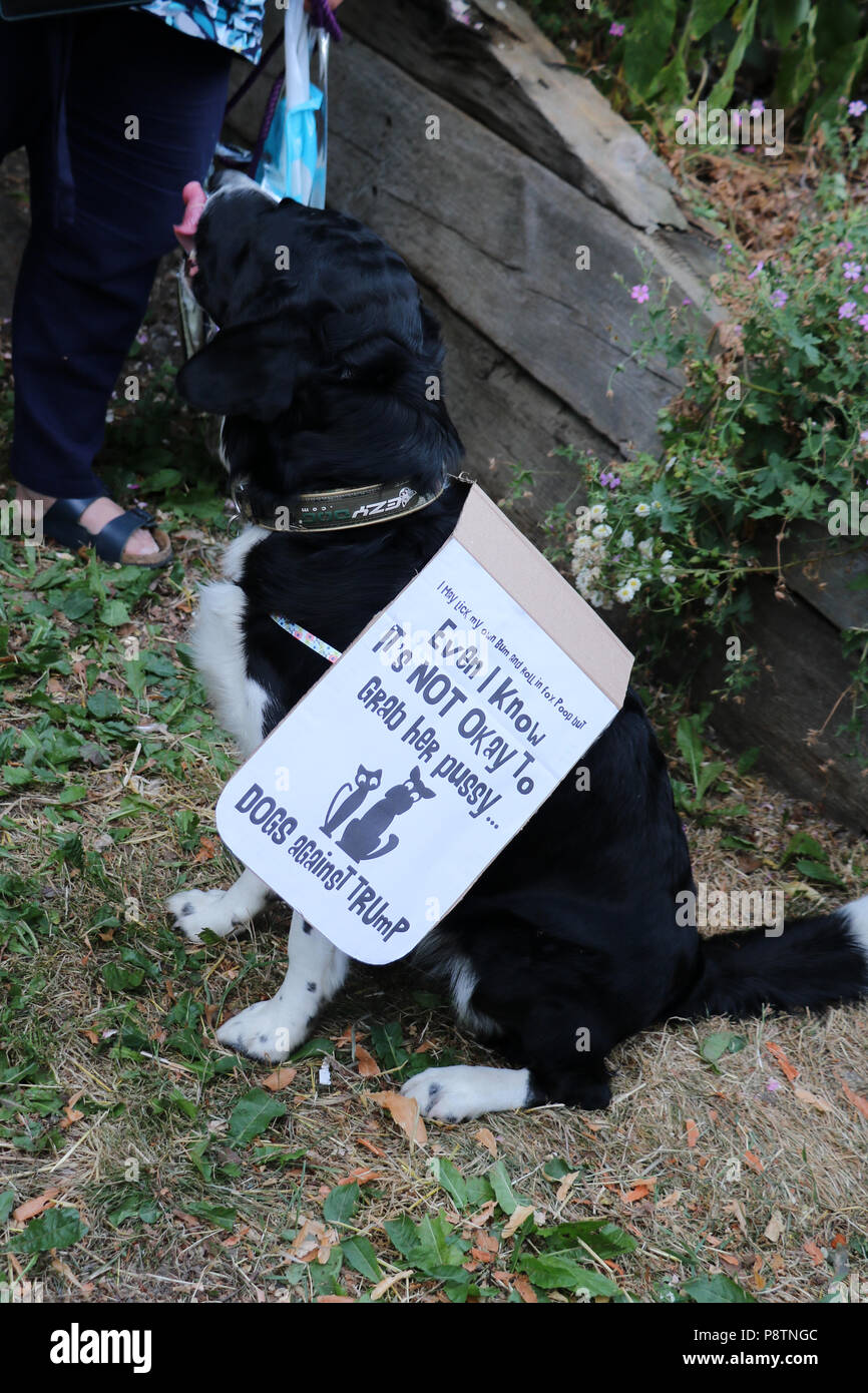 Woodstock, Royaume-Uni. 12 juillet, 2018. Un chien se joint à l'arrêt Trump protester à Blenheim Palace, Woodstock, en Angleterre. Credit : Philippa McAllister/Alamy Live News Banque D'Images