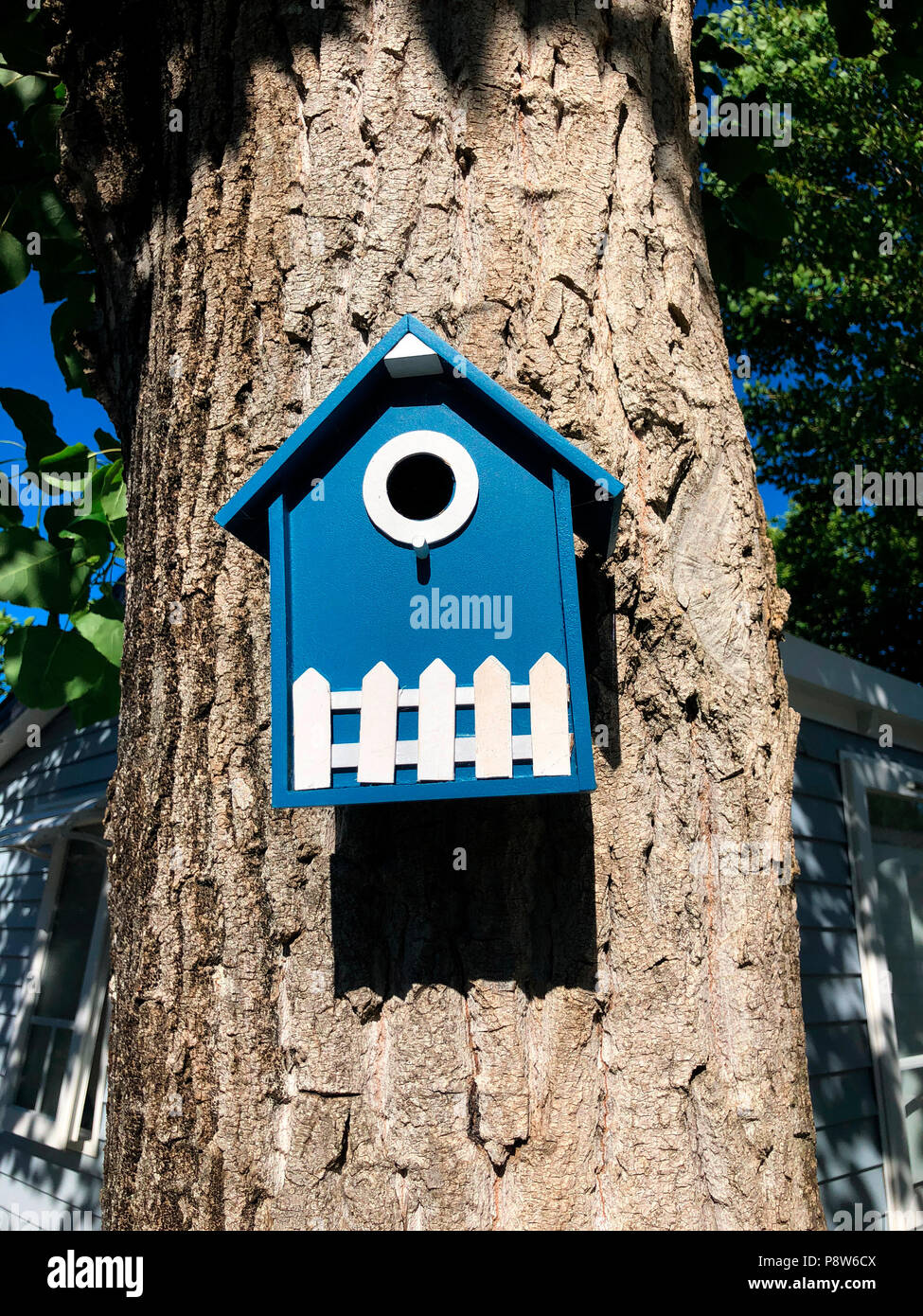 Boîte de l’oiseau Banque D'Images