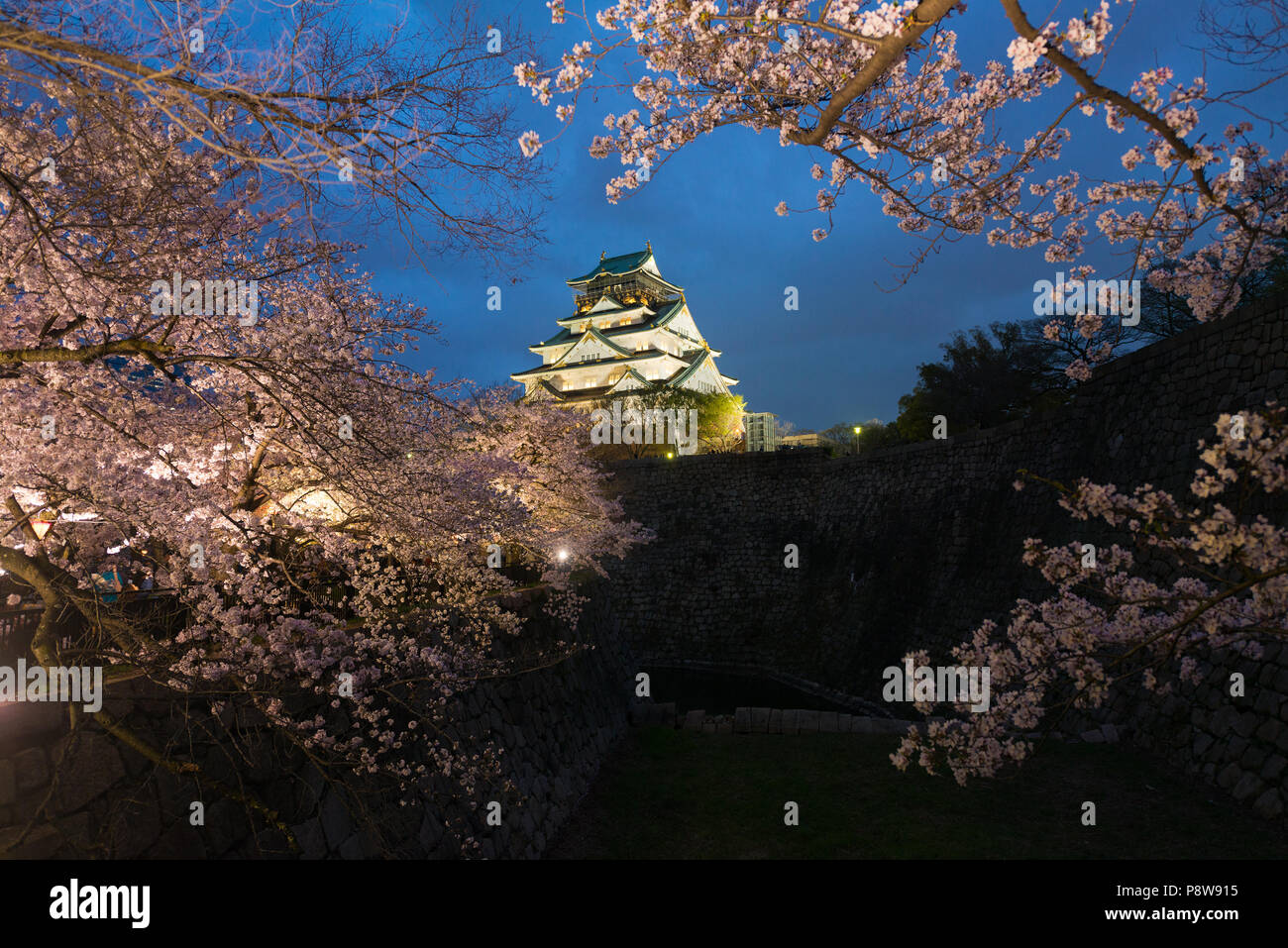 Paysage du Japon au crépuscule. Le Château d'Osaka durant la saison des cerisiers en fleur de printemps à fleurs nuit à Osaka, Japon. Banque D'Images