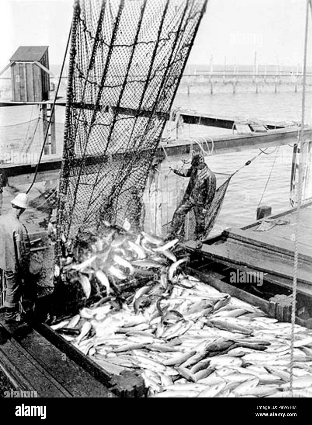 . Épuisette 67 les saumons d'un piège à poisson, Washington, nd (58) COBB Banque D'Images