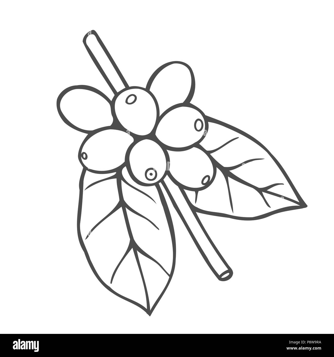 Hand drawn Vector icône ligne d'arbre de café logo linéaire. Contours symbole pour cafe, bar, boutique. Illustration de Vecteur