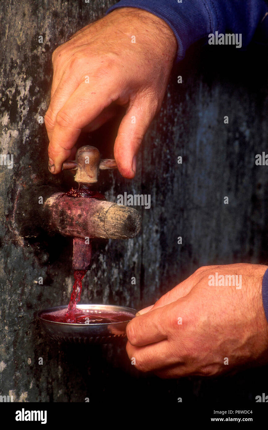 La main de l'homme de verser le vin à partir d'un baril, Auvergne, France Banque D'Images