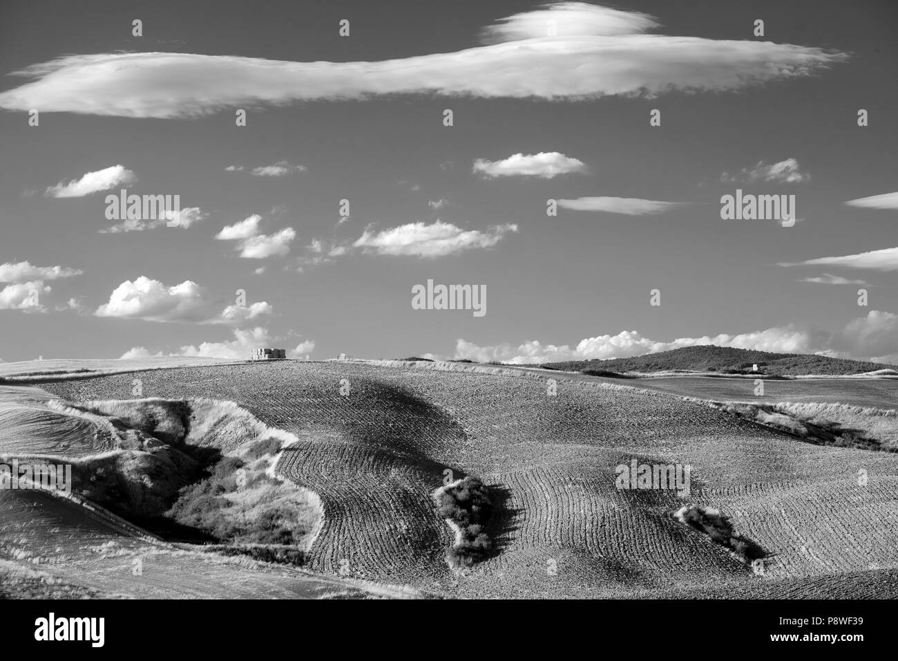 Ce paysage le long de la route de Montepulciano à Asciano, Sienne, Toscane, Italie, à l'été. Le noir et blanc Banque D'Images
