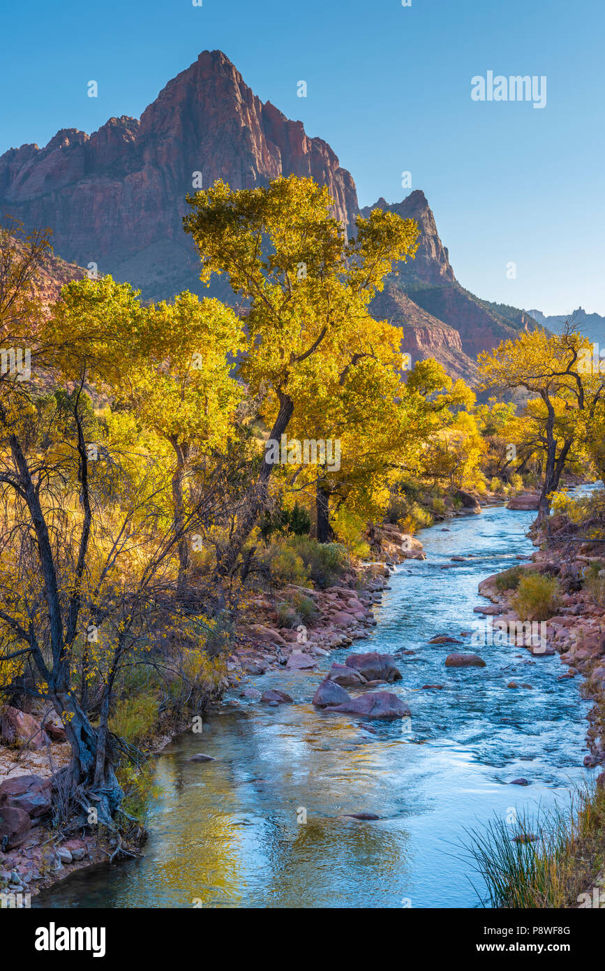 Kayenta Trail le long de la Virgin River dans le parc national de Zion dans l'Utah. Banque D'Images