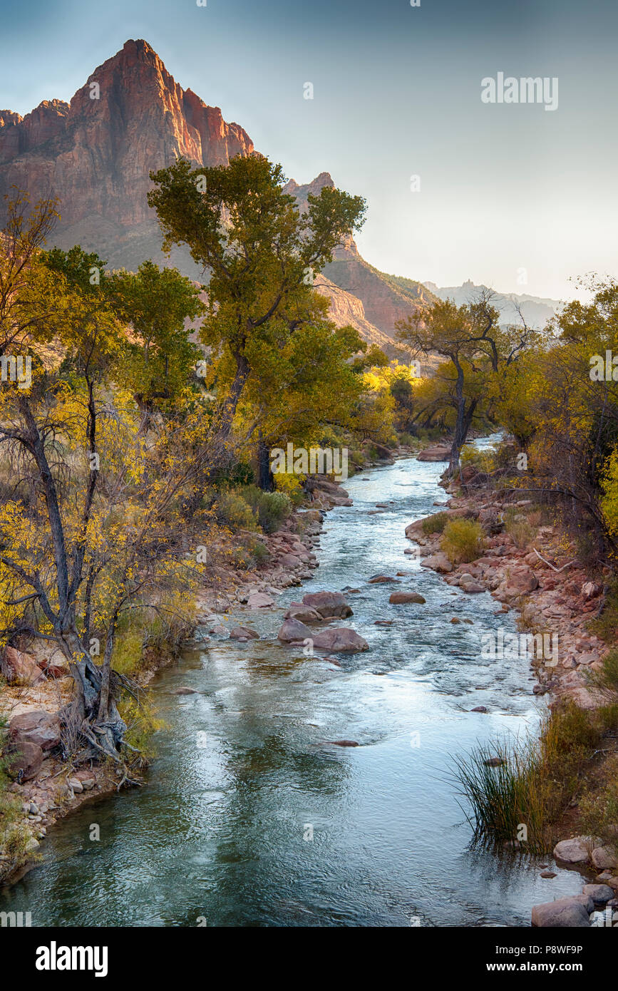 Kayenta Trail le long de la Virgin River dans le parc national de Zion dans l'Utah. Banque D'Images