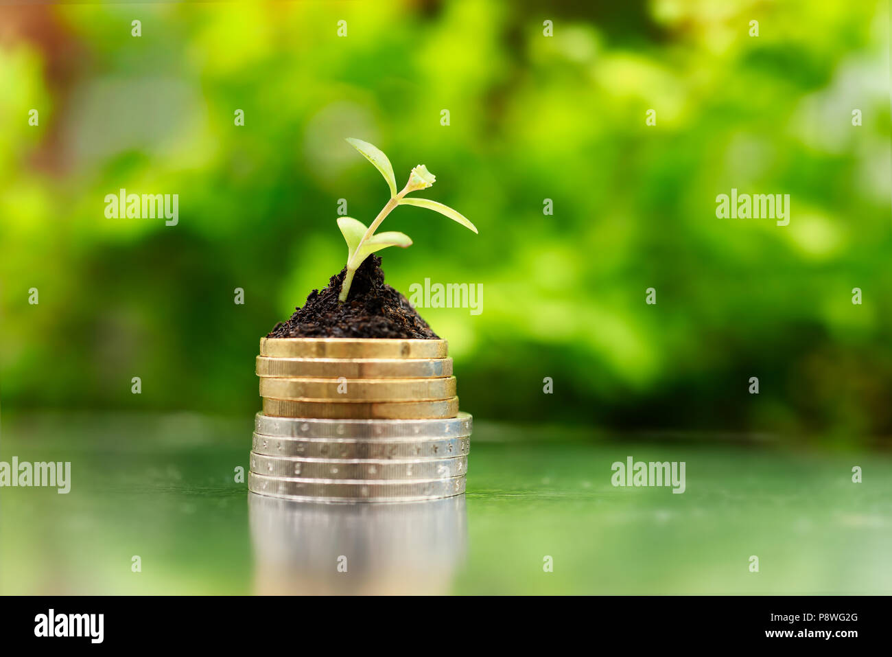 Les pièces d'argent et d'or dans le sol avec jeune plant sur fond vert. Concept de croissance de l'argent. Banque D'Images