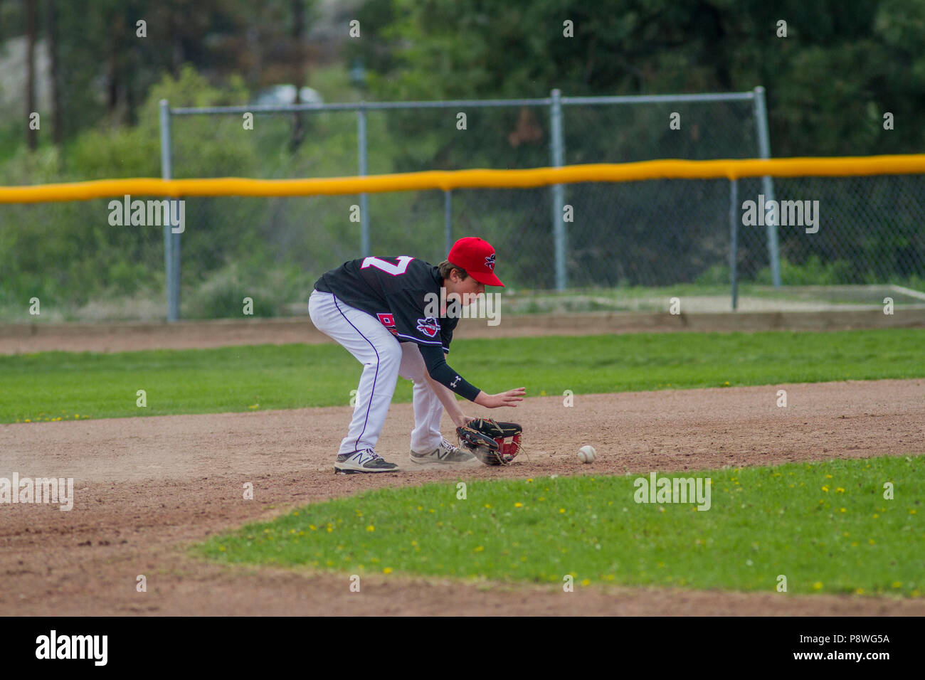 Catching ground baseball ball, tout comme se tient dans la main, les garçons d'après-midi d'un match de baseball junior. Cranbrook, BC. Banque D'Images