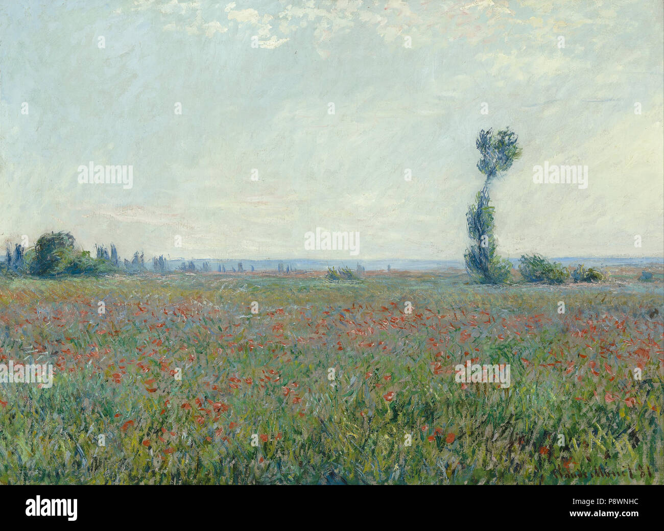 . 81 Claude Monet - champ de coquelicots - (430231) Banque D'Images