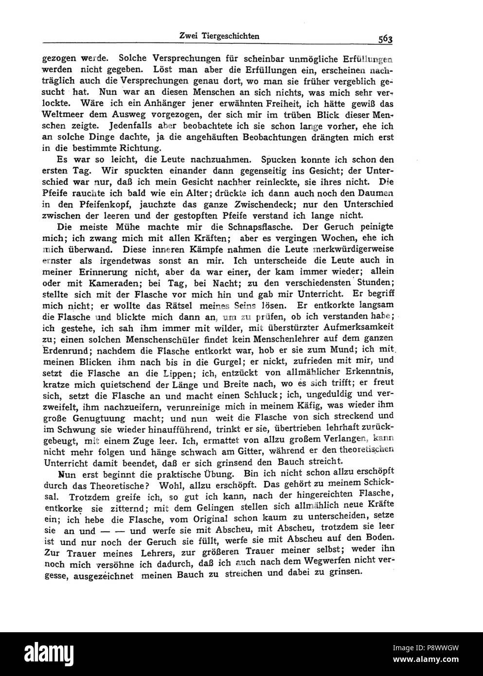 100 de Kafka Zwei Tiergeschichten 08 Banque D'Images