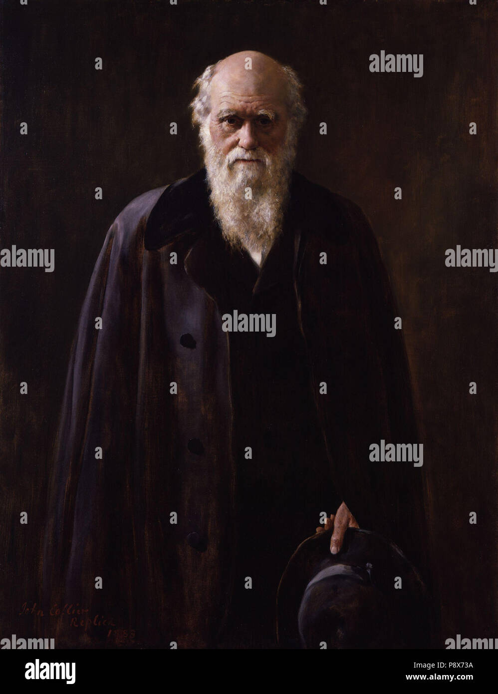 . 87 Charles Robert Darwin par John Collier Banque D'Images