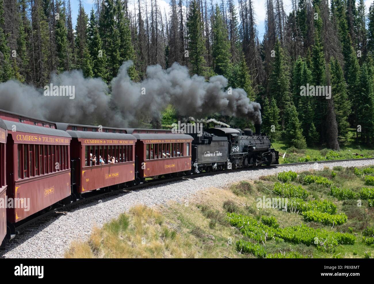 Moteur à vapeur restauré 489 sur le Cumbres et étroit chemin de fer panoramique toltèque l'indicateur de charge lorsque le train de tours à travers la merveilleuse nature dans la nouvelle suite logicielle Mexi Banque D'Images