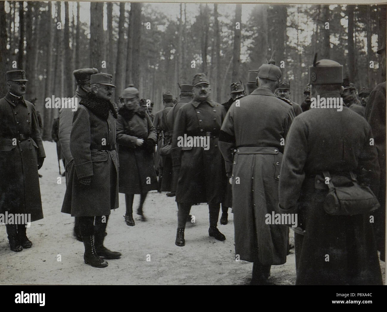 . 112 Ostarmee Oberkommandierende der der deutschen Generalfeldmarschall Prinz Leopold von Bayern insoziert die Wiener Truppen der 25 BildID Infanteriedivision (15446257) Banque D'Images
