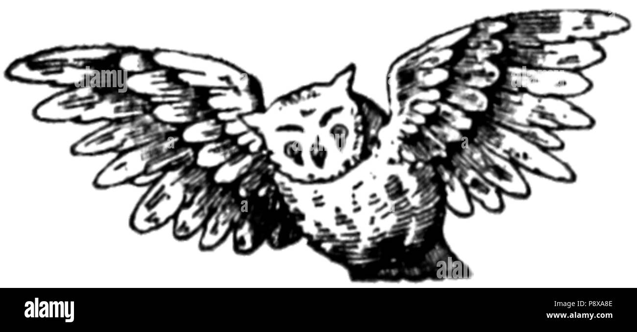 112 Det sorte Indien s211 Banque D'Images