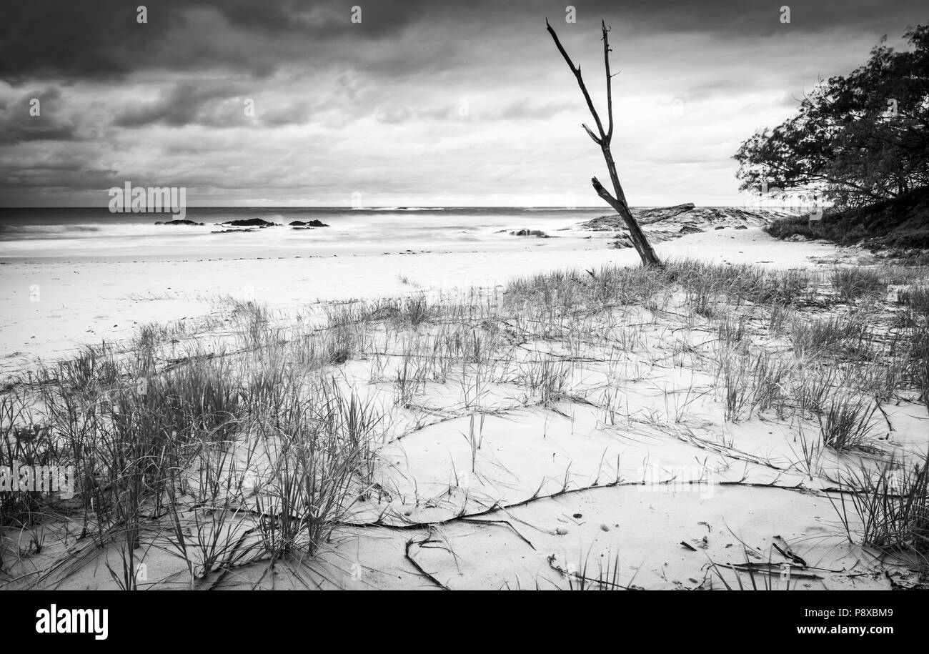 Lever de soleil sur la plage Australienne Deadmans Beach, Stradbroke Island dans le Queensland en noir et blanc Banque D'Images