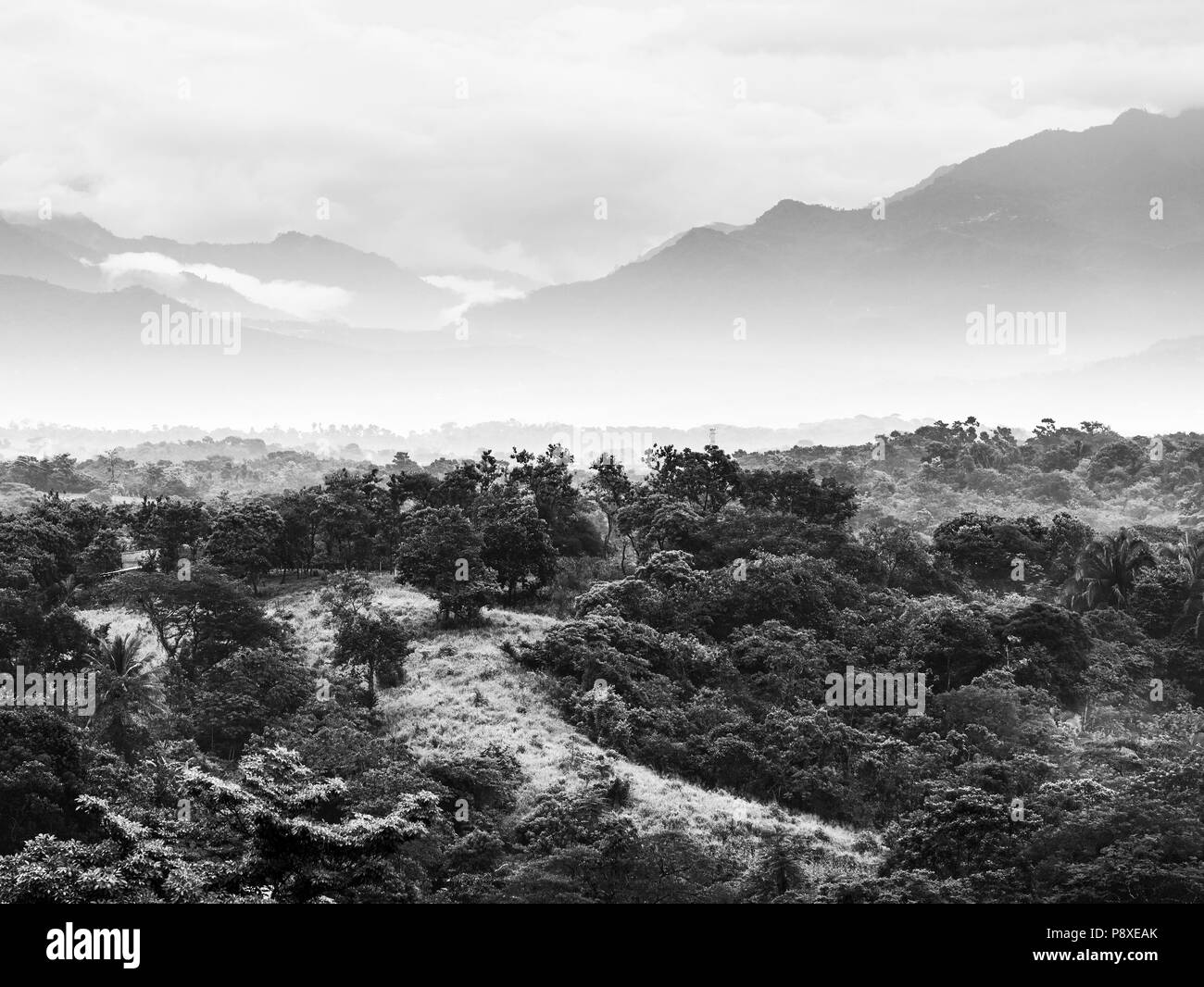 Paysage avec des montagnes pittoresques de la jungle à l'horizon au Chiapas, Mexique en noir et blanc Banque D'Images