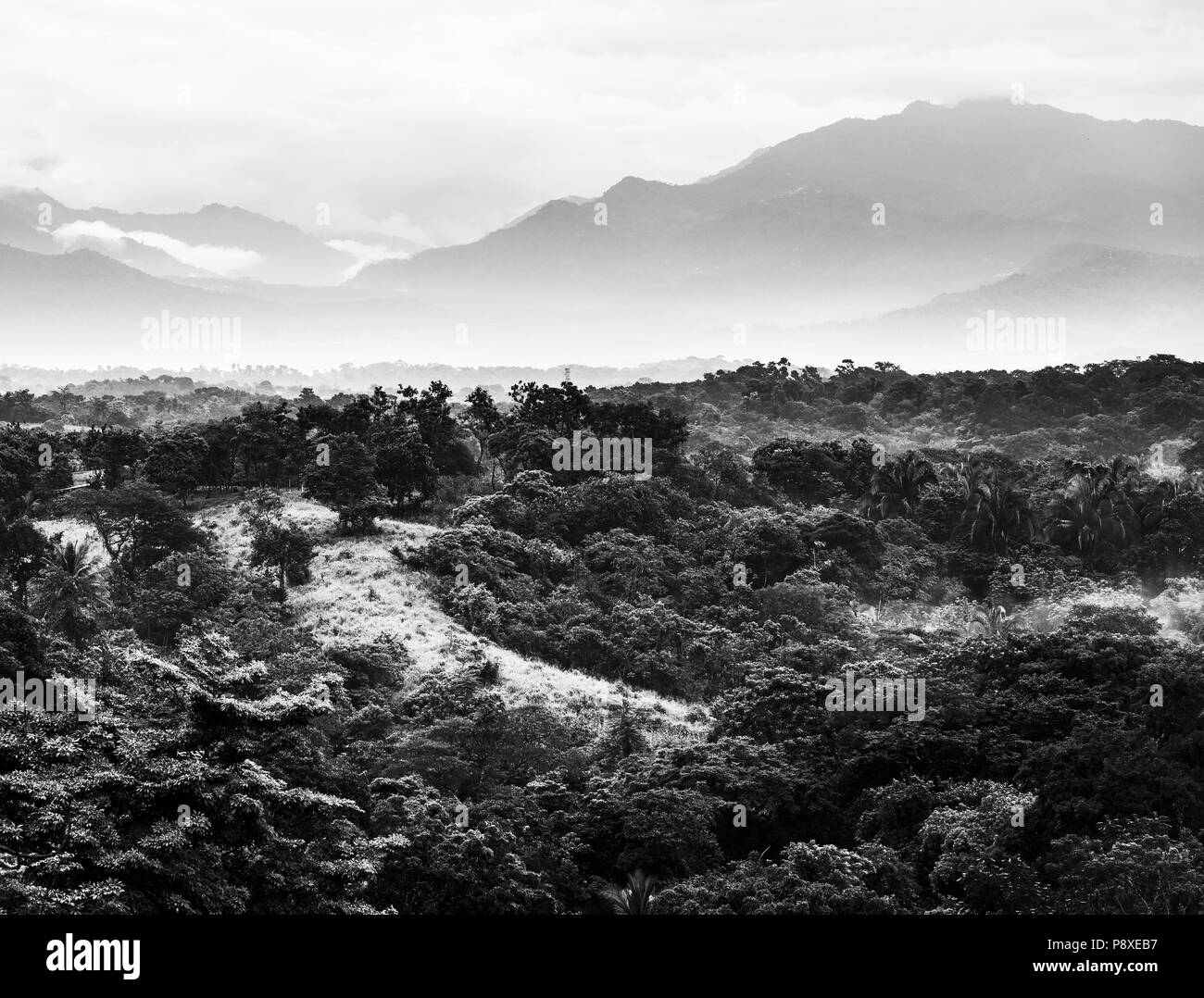 Paysage avec des montagnes pittoresques de la jungle à l'horizon au Chiapas, Mexique en noir et blanc Banque D'Images
