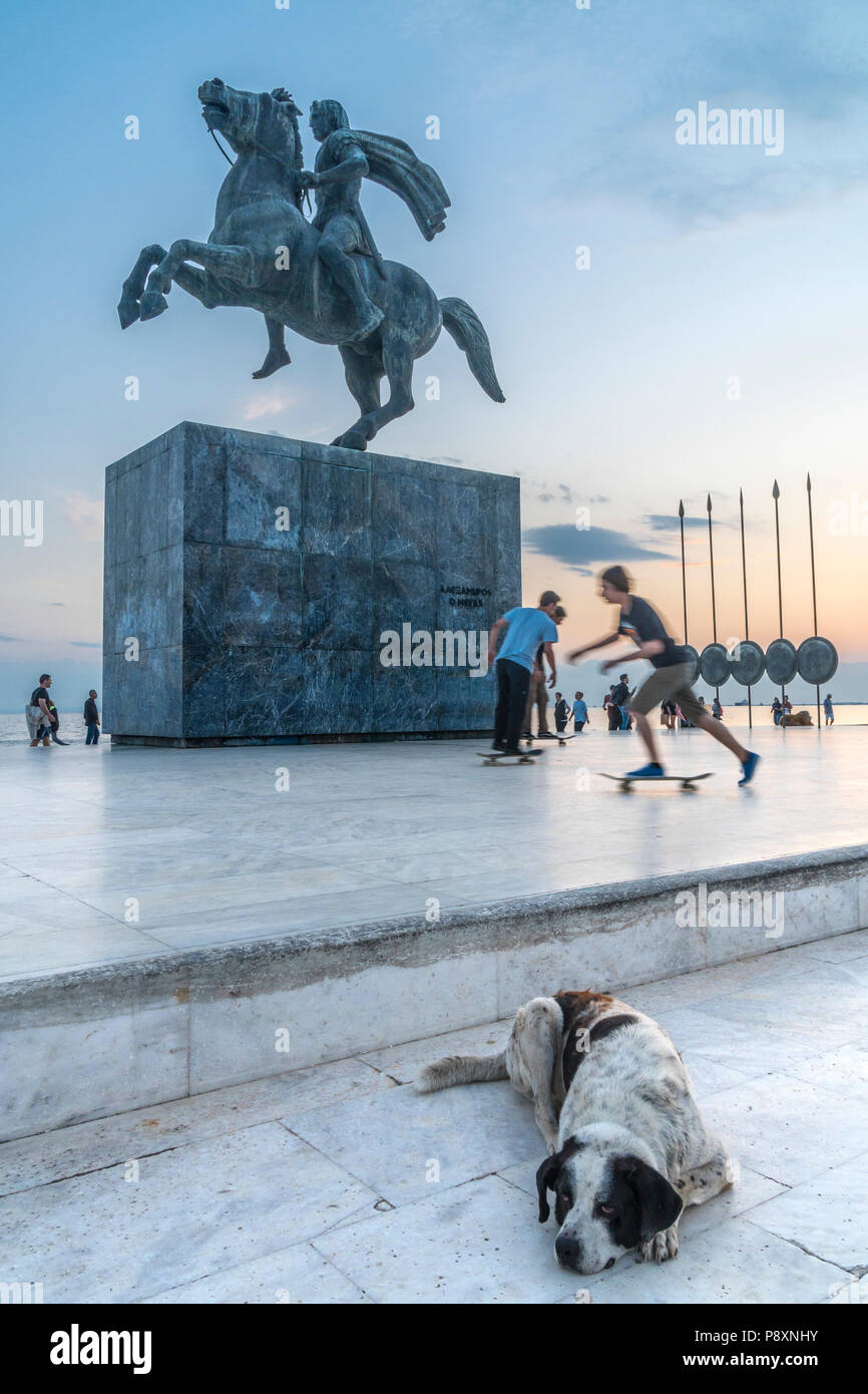 Roulettes de jouer et dormir chiens errants par Alexandre le Grand, le front de mer de Thessalonique, statue sur la Macédoine, la Grèce du Nord Banque D'Images
