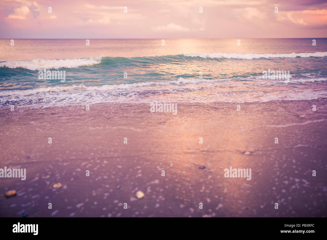 Rose, violet, rose et or crépuscule coucher de soleil sur la plage avec un sable teinté de rose et d'une rive de gros plan détaillé, les vagues de l'océan bleu turquoise brillant Banque D'Images