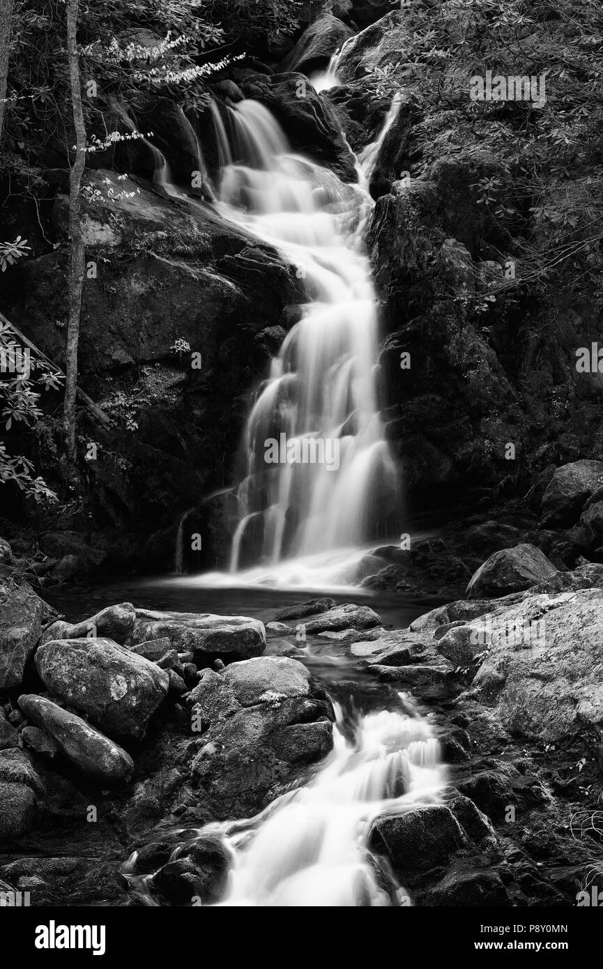 Souris Creek Falls, Caroline du Nord le long de la Big Creek dans le Great Smoky Mountain National Park. Banque D'Images