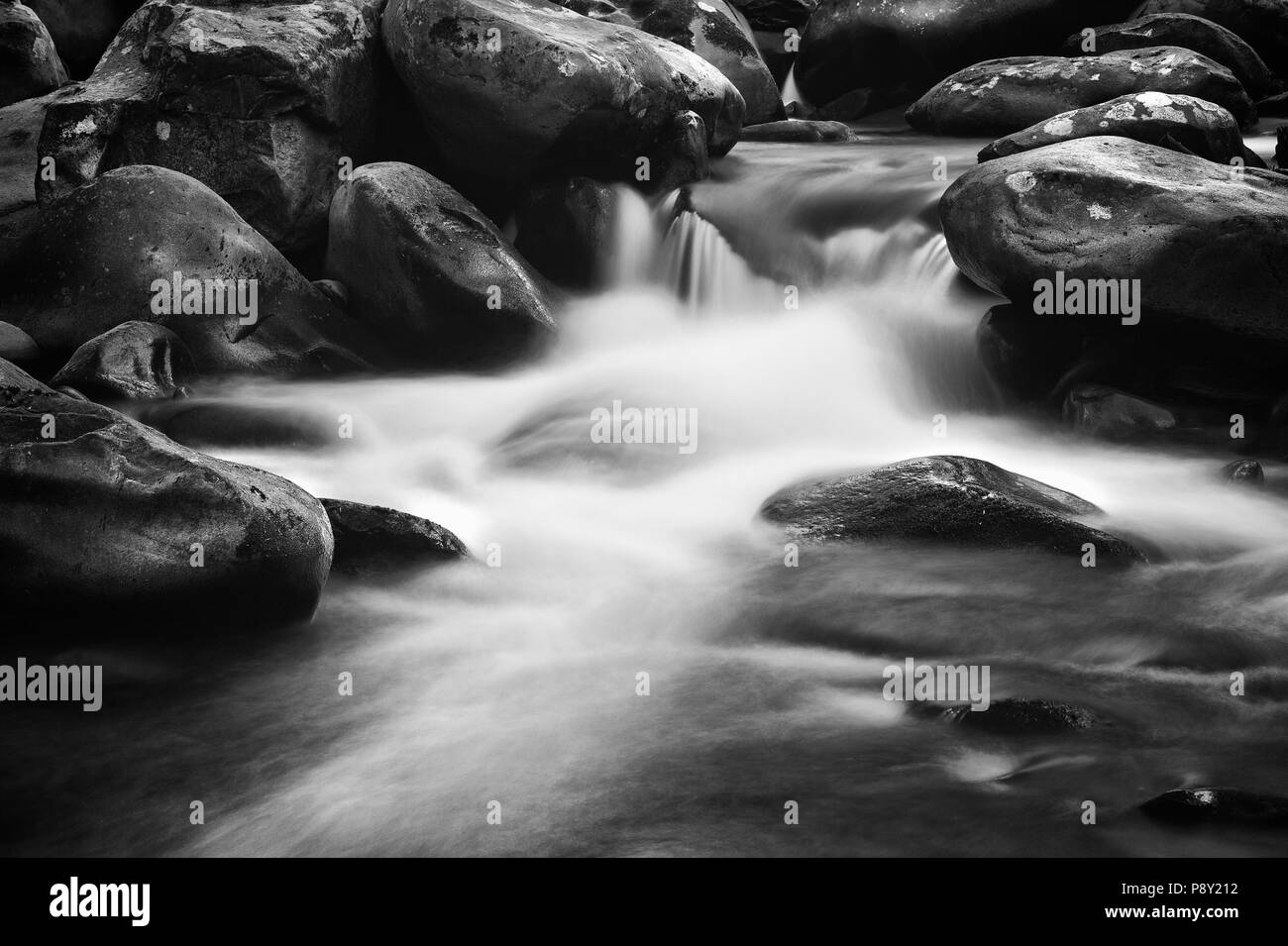 Un fluide, une cascade d'exposition le long de Porter Creek Trail dans le Great Smoky Mountain National Park en noir et blanc. Banque D'Images