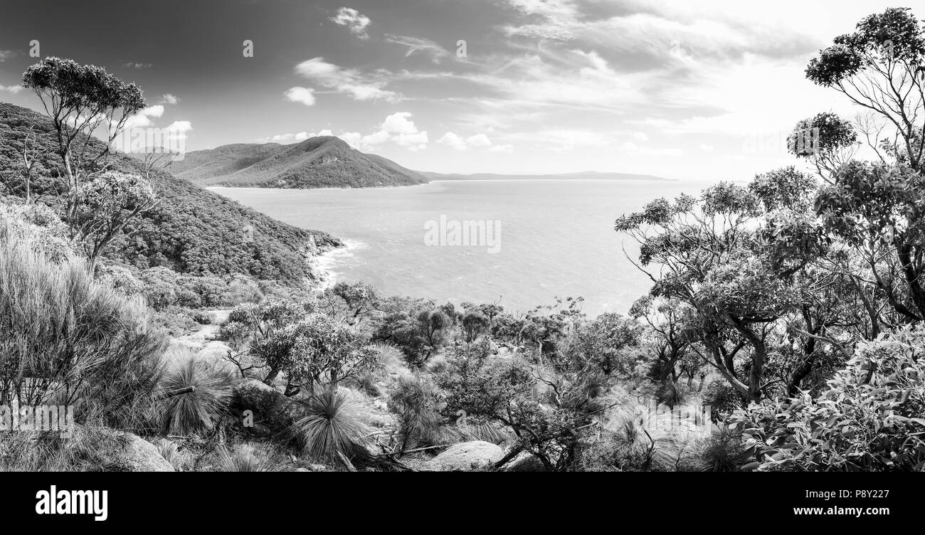 Panorama de Wilsons Promontory National Park, Victoria, Australie en noir et blanc Banque D'Images