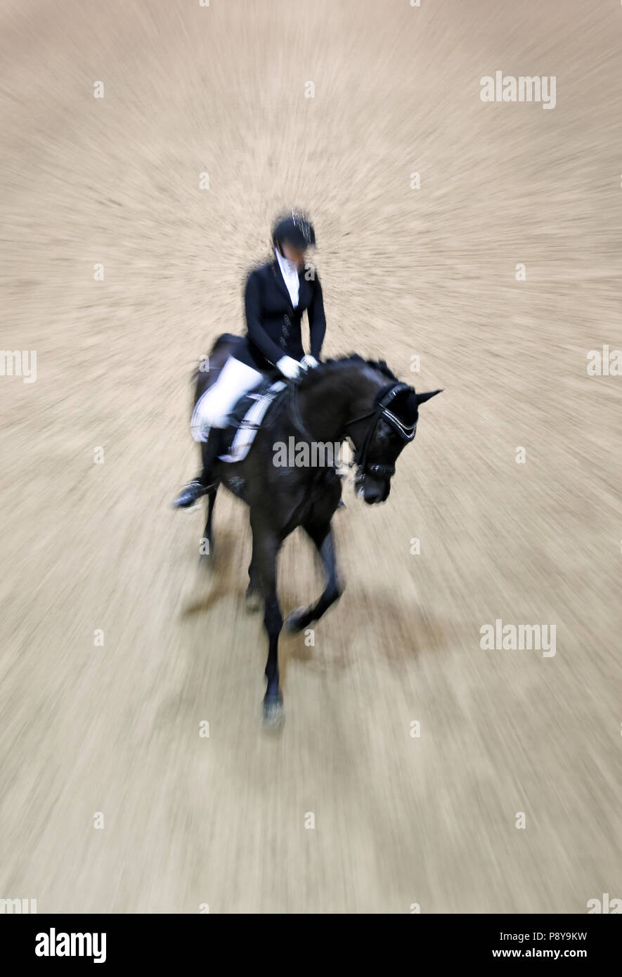 Berlin, dynamics, dressage cavalier et son cheval galopant Banque D'Images