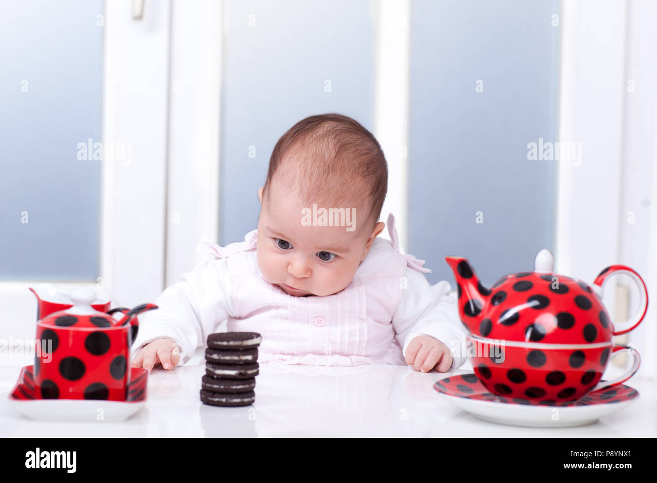 Funny Baby Photo Bebe Les Yeux Fixes Sur Les Biscuits Oreo Les Plus Droles Bebe Photo Photo Stock Alamy Funny Baby Photo Bebe Les Yeux Fixes Sur Les Biscuits Oreo Les Plus Droles Bebe Photo Photo Stock Alamy