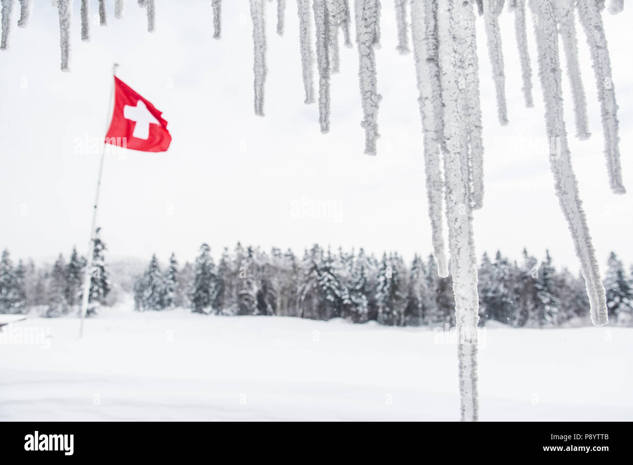 Drapeau suisse flottant dans la forêt couverte de neige avec des stalactites en Hiver Chalet Banque D'Images