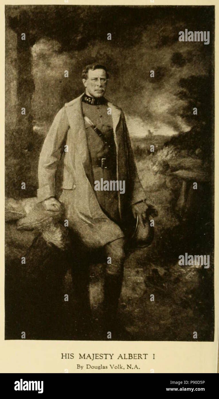 . 331 Sa Majesté Albert I par Douglas Volk 1919-1920 Banque D'Images