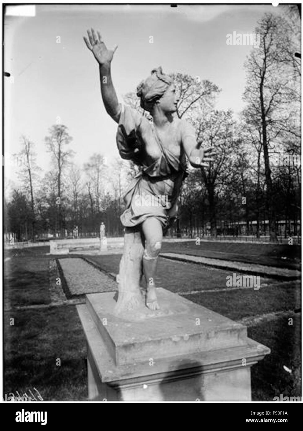348 Jardin des Tuileries - Statue de Daphné - Paris 01 - Médiathèque de l'architecture et du patrimoine - APMH00037479 Banque D'Images
