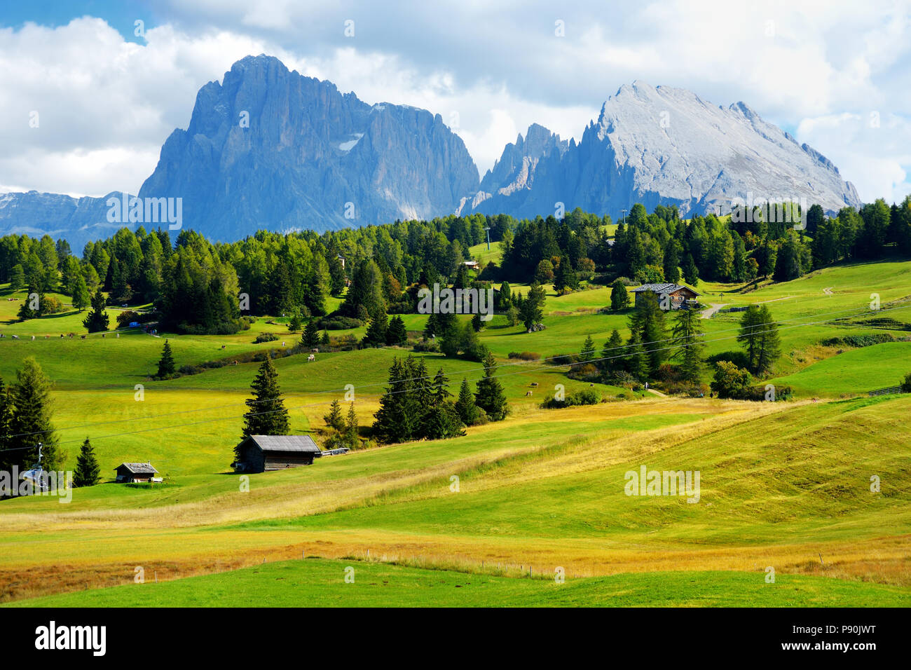 Siusi, la plus grande prairie alpine de haute altitude en Europe, de superbes montagnes rocheuses en arrière-plan. La province du Tyrol du sud de l'Italie, Dolomites. Banque D'Images