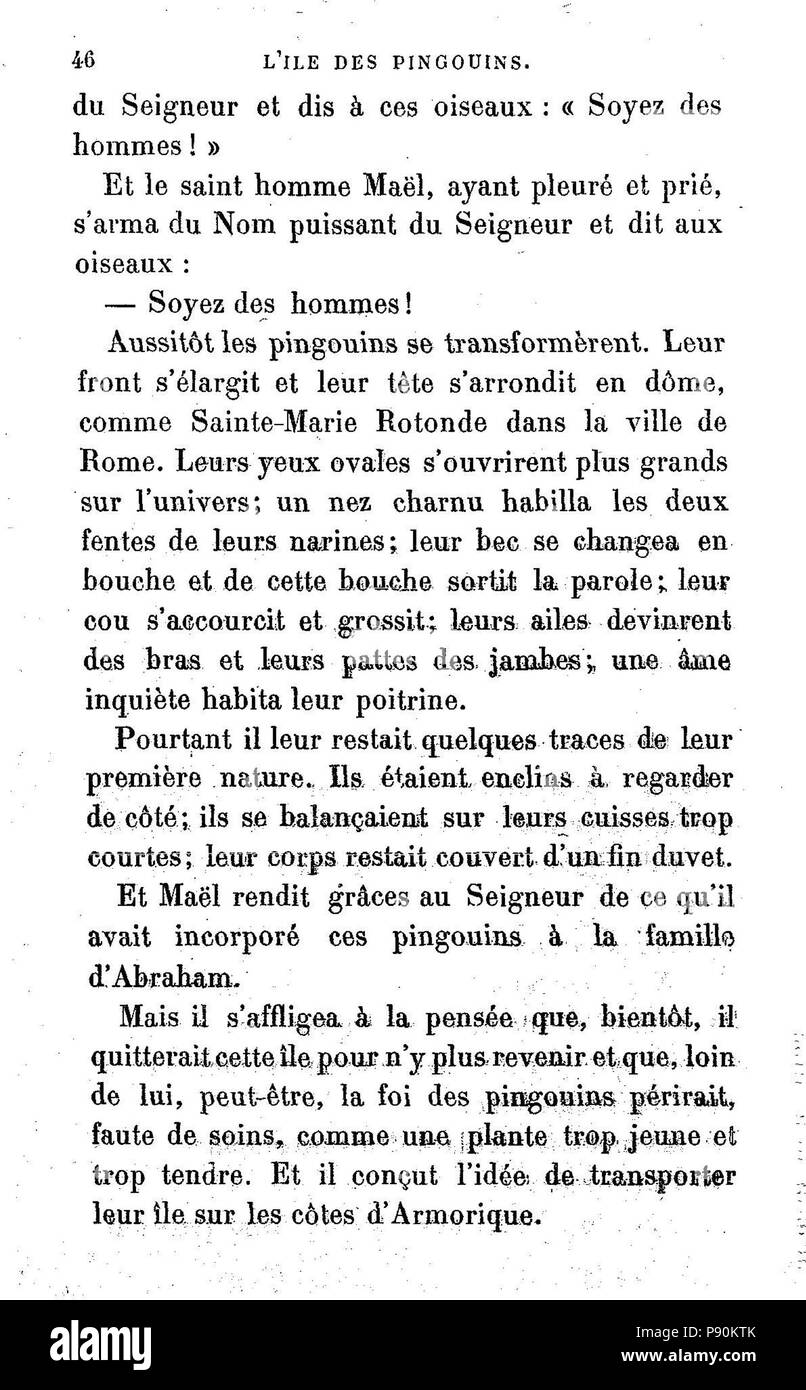 . 380 L'Iledespingouins046 Banque D'Images