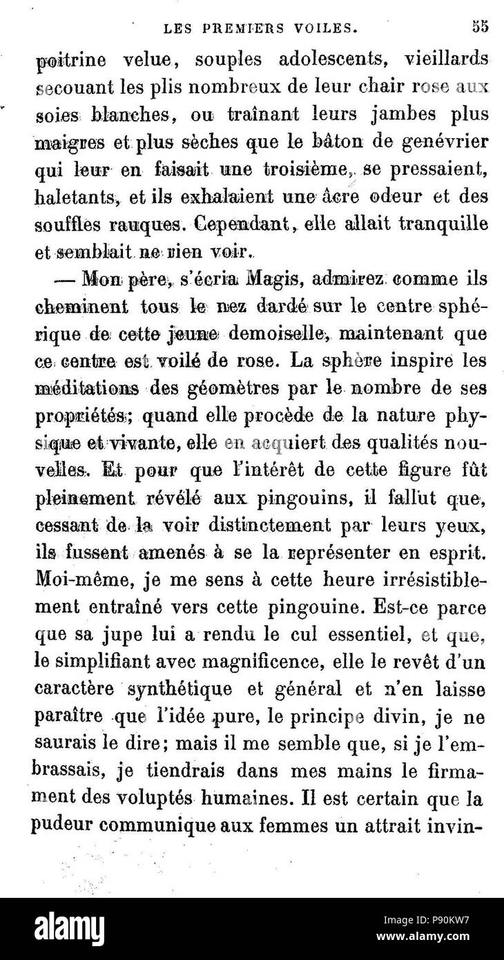 . 380 L'Iledespingouins055 Banque D'Images
