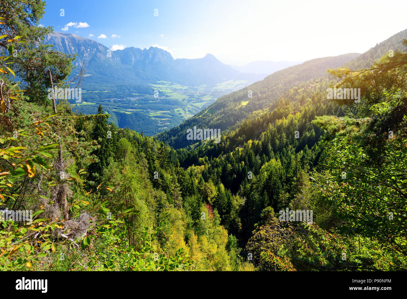 Vue panoramique de la forêt de feuillus et pin mixte au Tyrol du Sud, Renon/Ritten, région de l'Italie. De belles montagnes rocheuses sur un arrière-plan. Banque D'Images