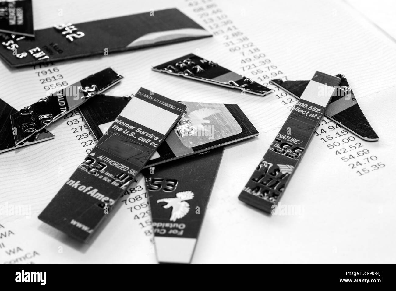 WA14607-00...WASHINGTON- cut up carte de crédit. Banque D'Images