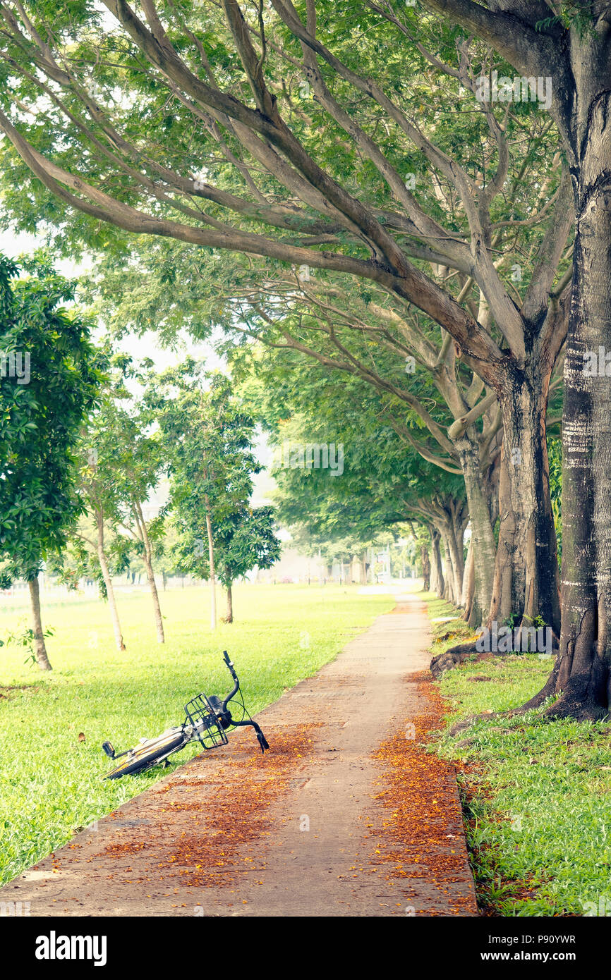 Singapour. Un vélo abandonné le long d'un sentier. Très probablement une location vélo-partage. Banque D'Images