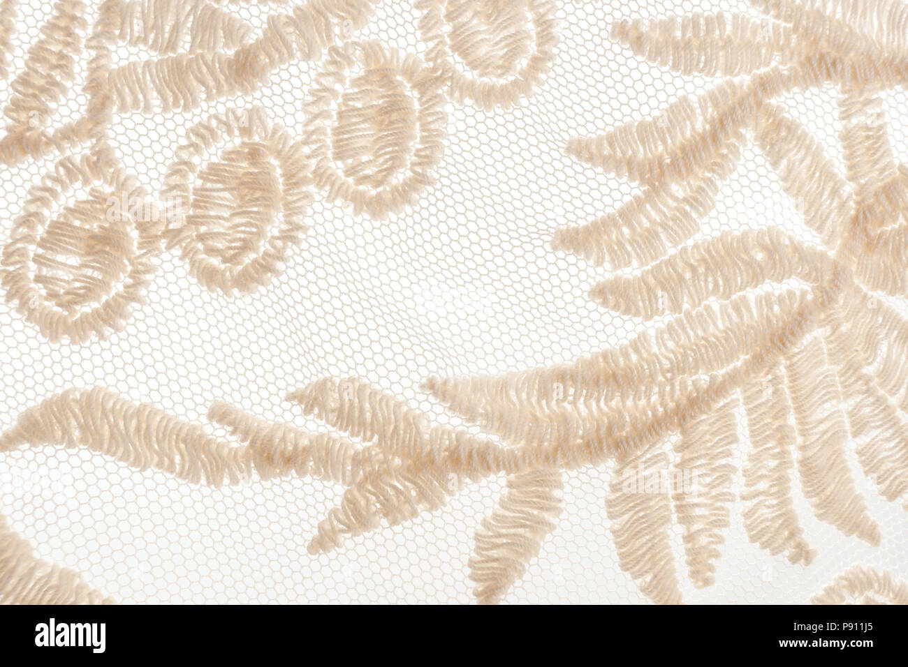 Close-up motifs végétaux de dentelle beige sur fond blanc. Feuilles et baies sont brodés de fils épais sur en tissu. Banque D'Images