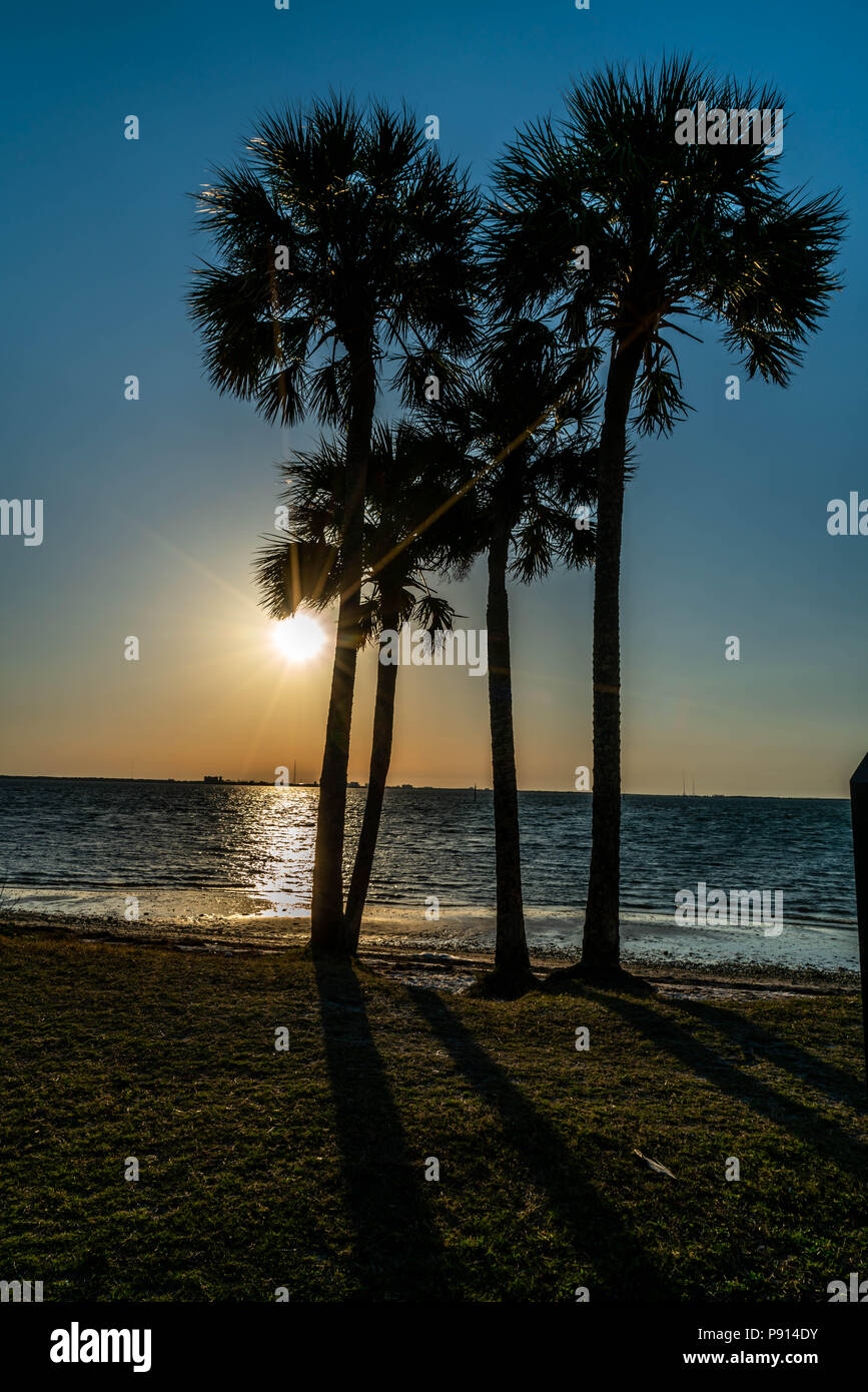 Une belle journée à Picnic Island Park en face de la baie de Saint Petersburg en Floride. Banque D'Images