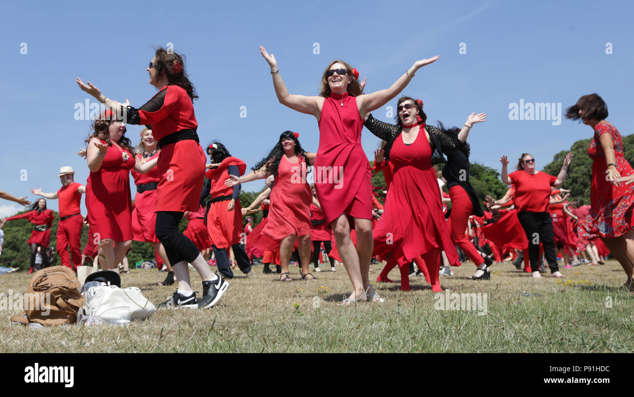 Dublin, Irlande. 14 juillet 2018. Les participants de cette année, l'Hurlevent jour répéter leur danse de Kate Bush's iconic chanson et la vidéo de "Wuthering Heights" au St Anne's Park à Dublin, Irlande. Crédit photo : Laura Hutton/Alamy Live News. Banque D'Images