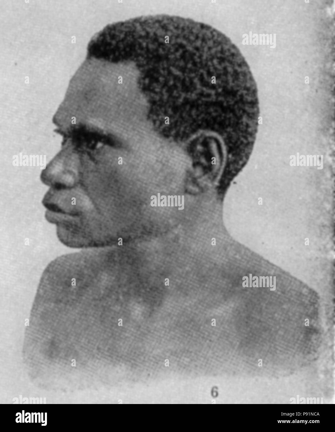 384 LA2-NSRW-1-0178 - 06 Banque D'Images